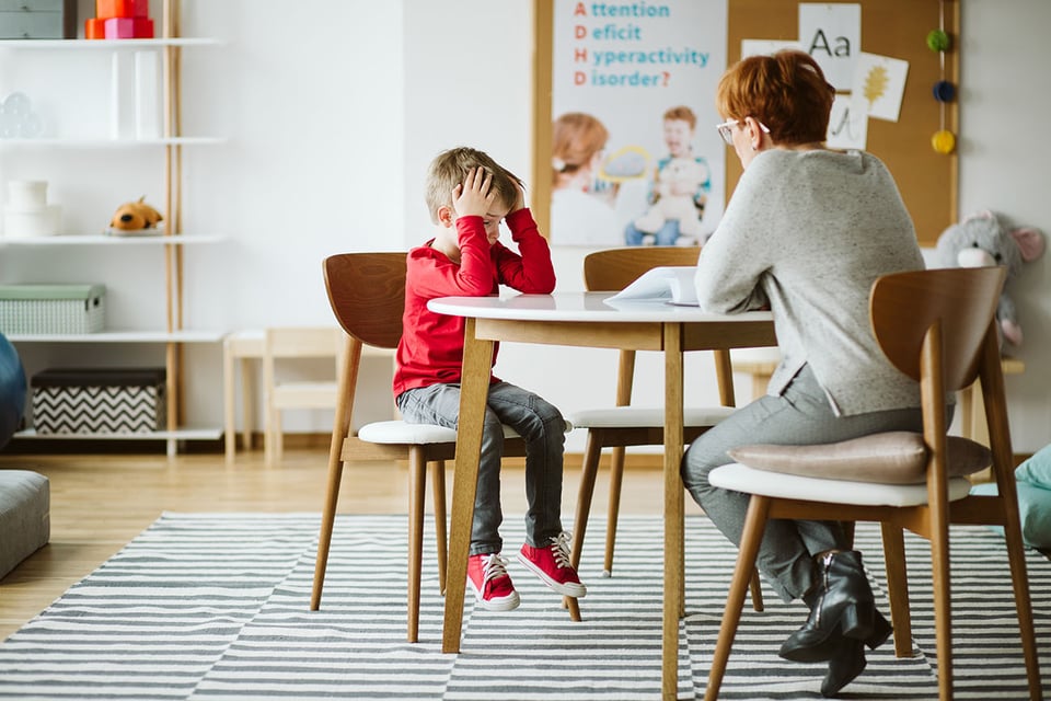 The Potential Role of the GABAergic System in ADHD Development