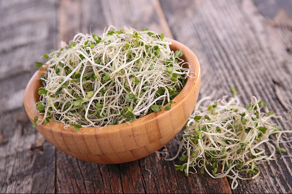 Sulforaphane Shown to Enhance Detoxification Gene Expression