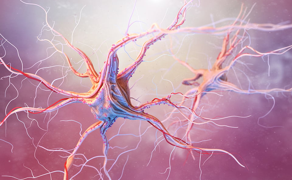 Recent Review Explores Relationship Between Pain Perception and the Gut Microbiome