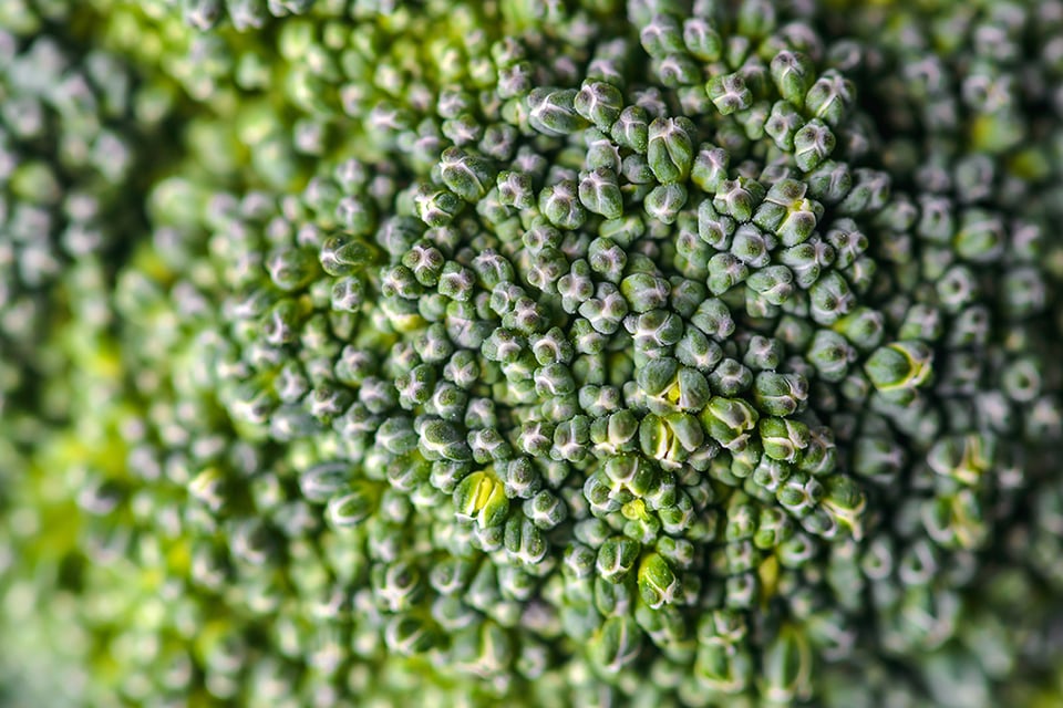 Recent Study Reveals That Vitamin K2 Status may be Associated With COVID-19 Mortality Risk