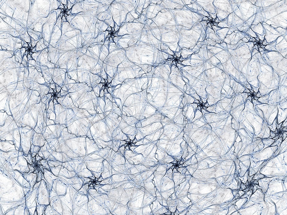 How the Gut-Brain Axis May Play a Role in Certain Neuropsychiatric Disorders