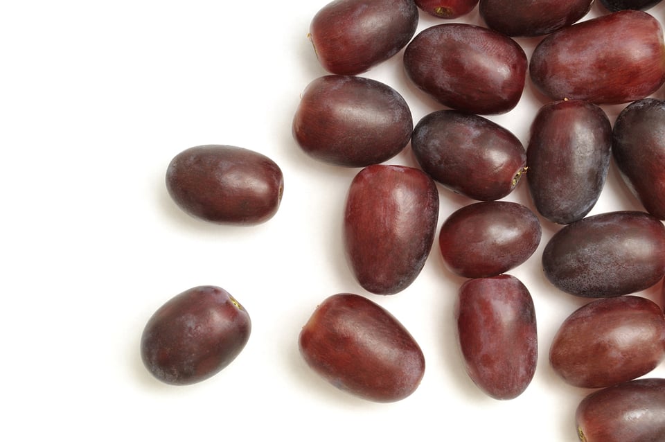 Recent Pilot Study Explores the Impact of Grape Powder Supplementation on the Gut Microbiome
