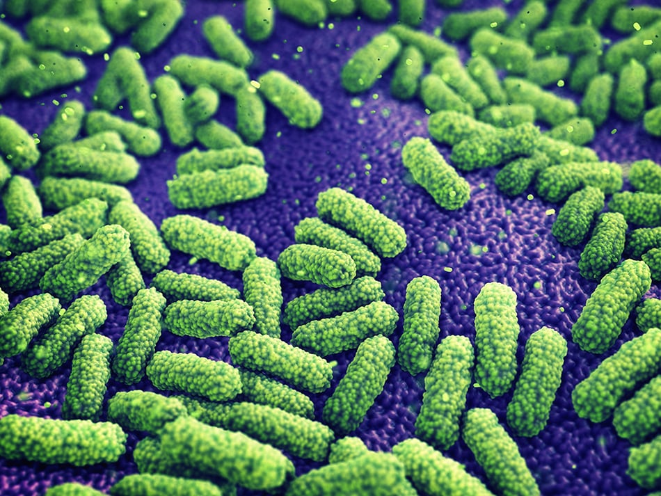 Randomized Control Trial Explores Efficacy of Prebiotics for Adults With Occasional Constipation
