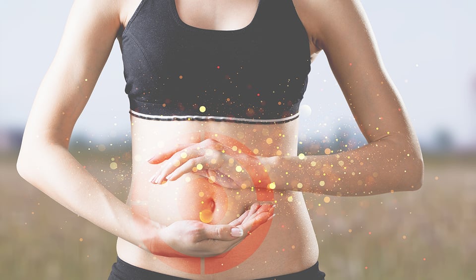 Recent Study Uncovers Mechanistic Link Between Poor Diet and Impaired Innate Immunity Within the Gut