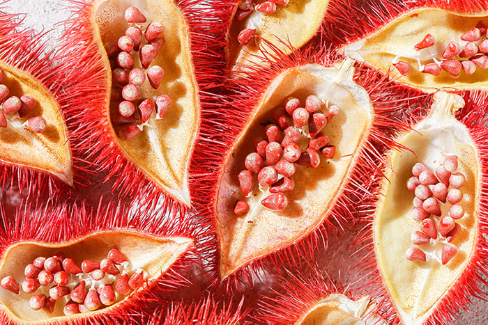 Vitamin E Tocotrienols and Bone Health