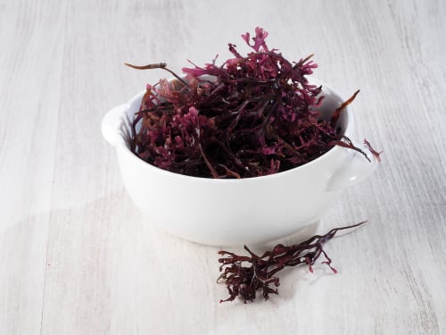 Carrageenan: Friend or Foe?
