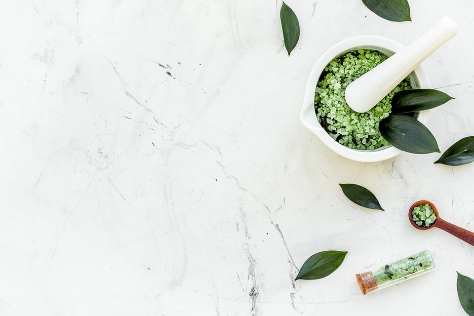 Effects of Green Tea Extract on Appetite