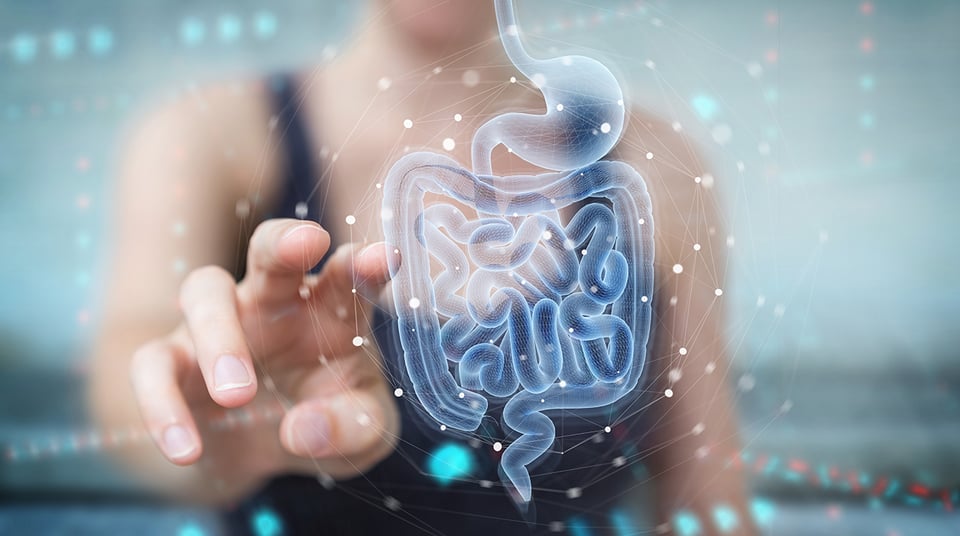 Quality Matters: Understanding Protein Digestibility Score