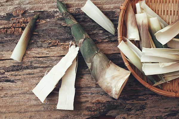 Xylooligosaccharides, a New Kind of Prebiotic