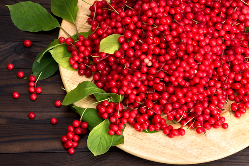 Schisandra – Give the Liver Some Love