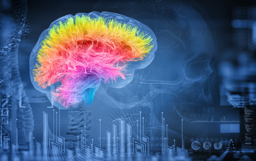 Boost Brain Health with American Ginseng