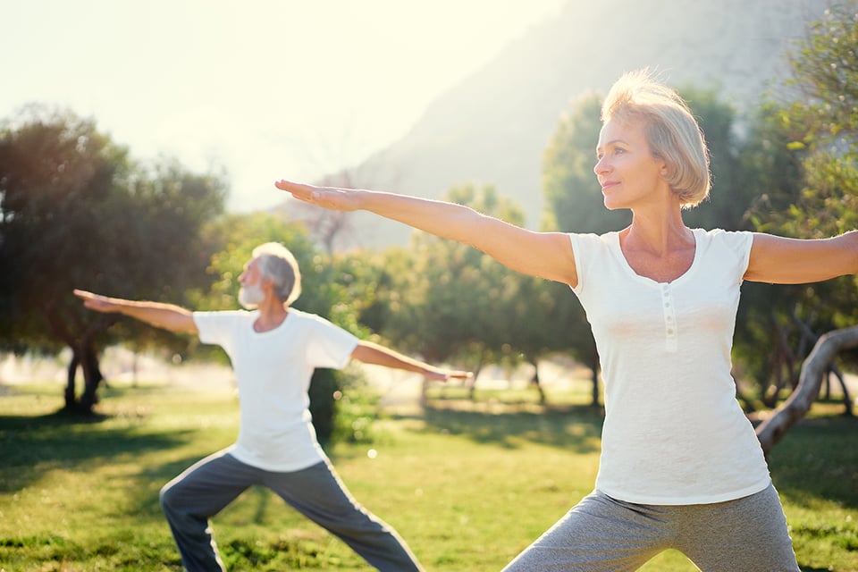 New Review Demonstrates the Effects of Probiotic Supplementation on the Immune System in the Elderly