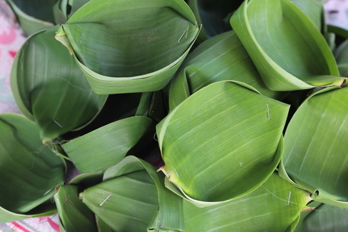 Banaba – Blood Sugar Helper