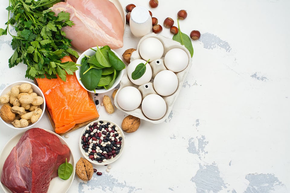 A High-Protein, Calorie-Restricted Diet Alters the Gut Microbiome in Patients with Obesity