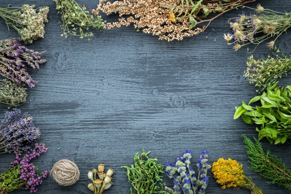 Spice Up the Holidays with Medicinal Botanicals