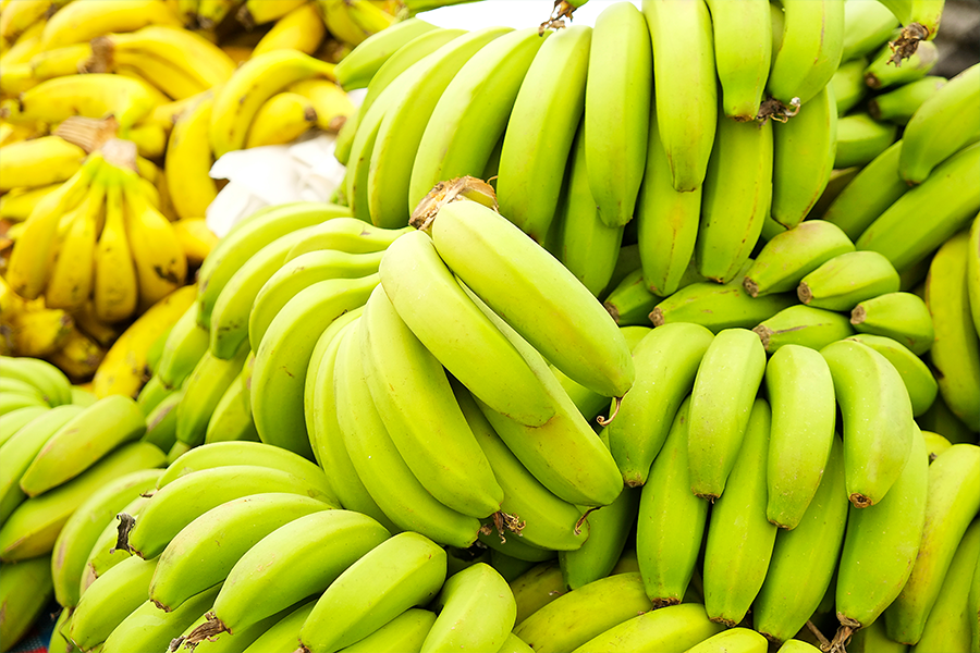 The Metabolic & Gut Health Benefits of Resistant Starch