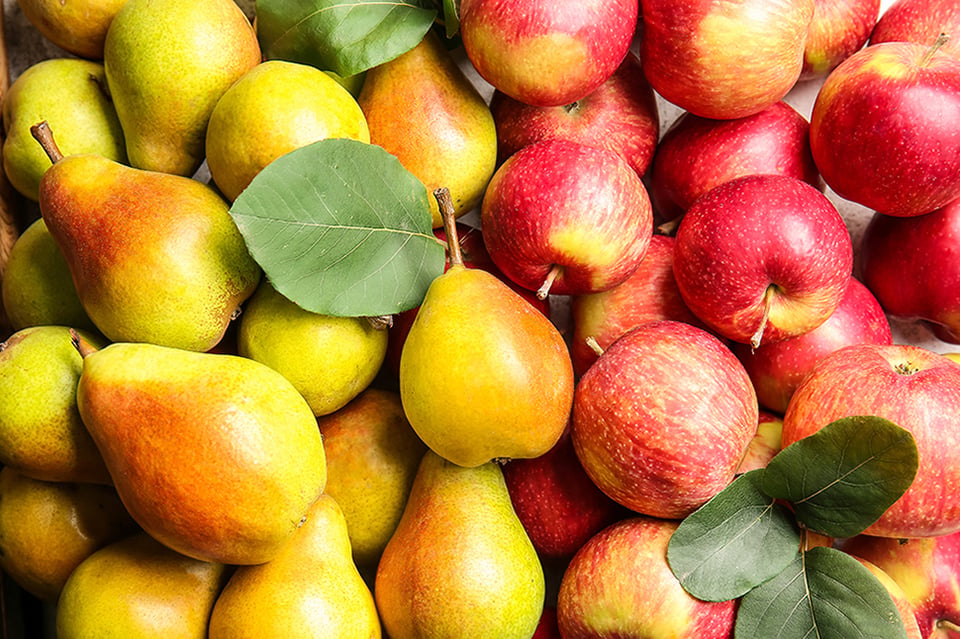 Polyphenols to Support Antioxidant Activity in Children and Teenagers