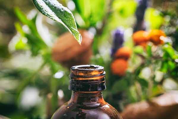 Terpenes – Potently Healthful Aromatics