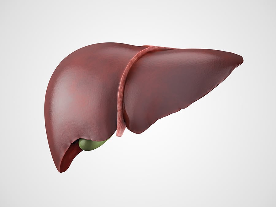 The Potential Nutritional Support of Organ Meats for Mood
