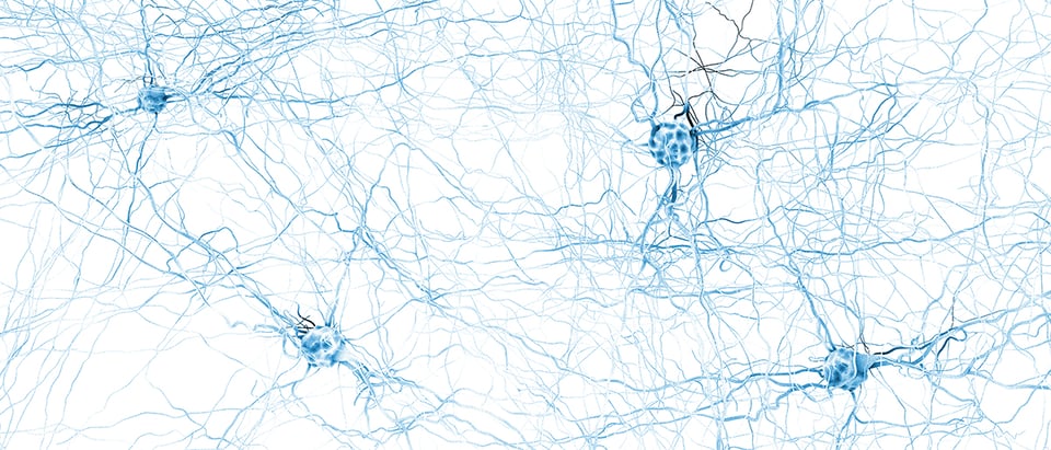 Glutathione for Brain Health and Healthy Aging