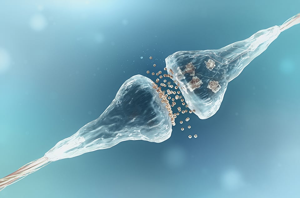 The Mood-supportive Benefits of Phytocannabinoids
