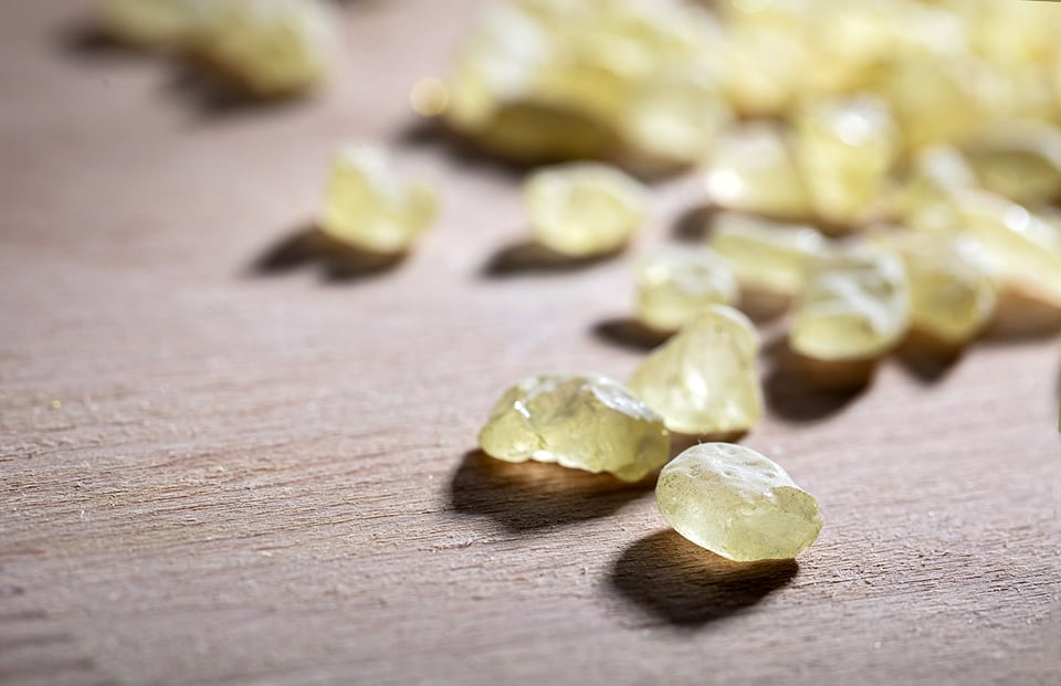 Supporting Gastrointestinal Health with Mastic Gum