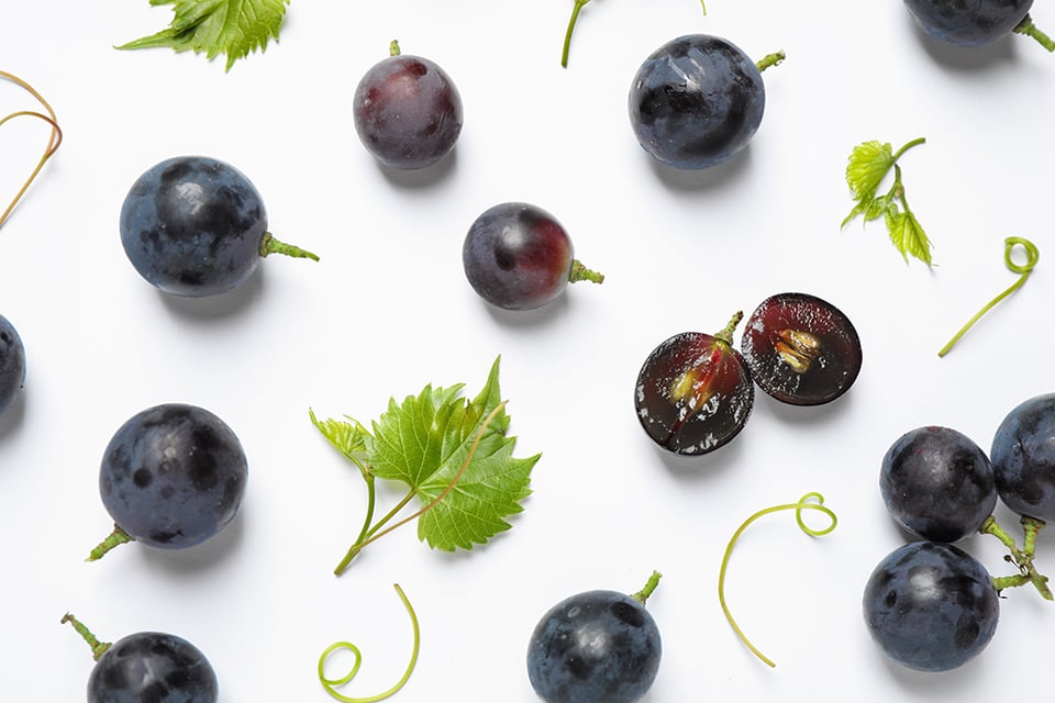 Resveratrol to Support Cognition and Healthy Aging