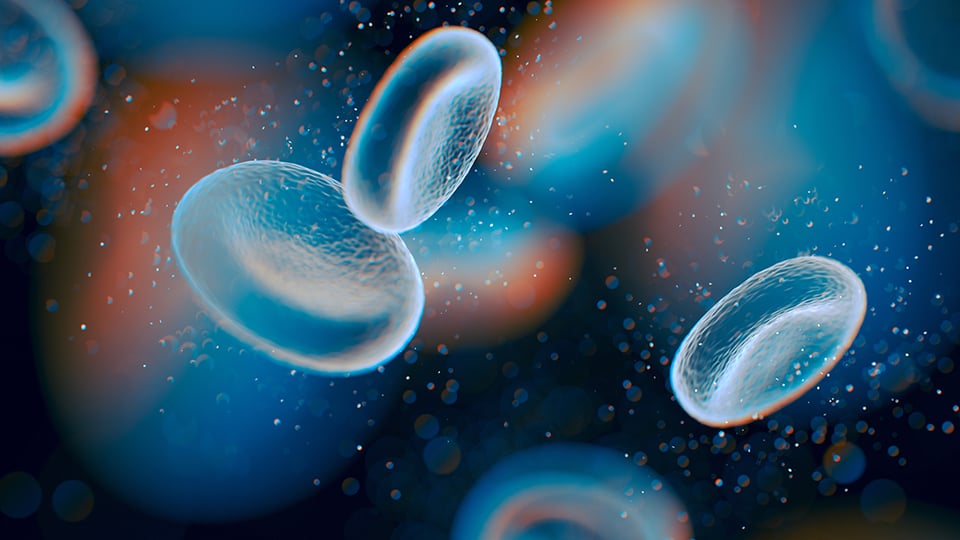 Nicotinamide Riboside to Support Healthy Aging and Cellular Health