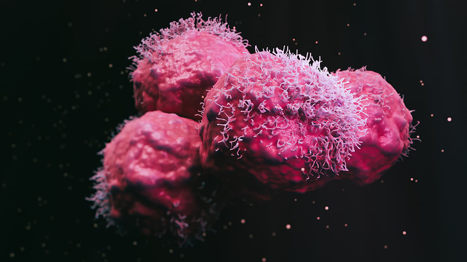 Cellular Senescence and Adrenal Health