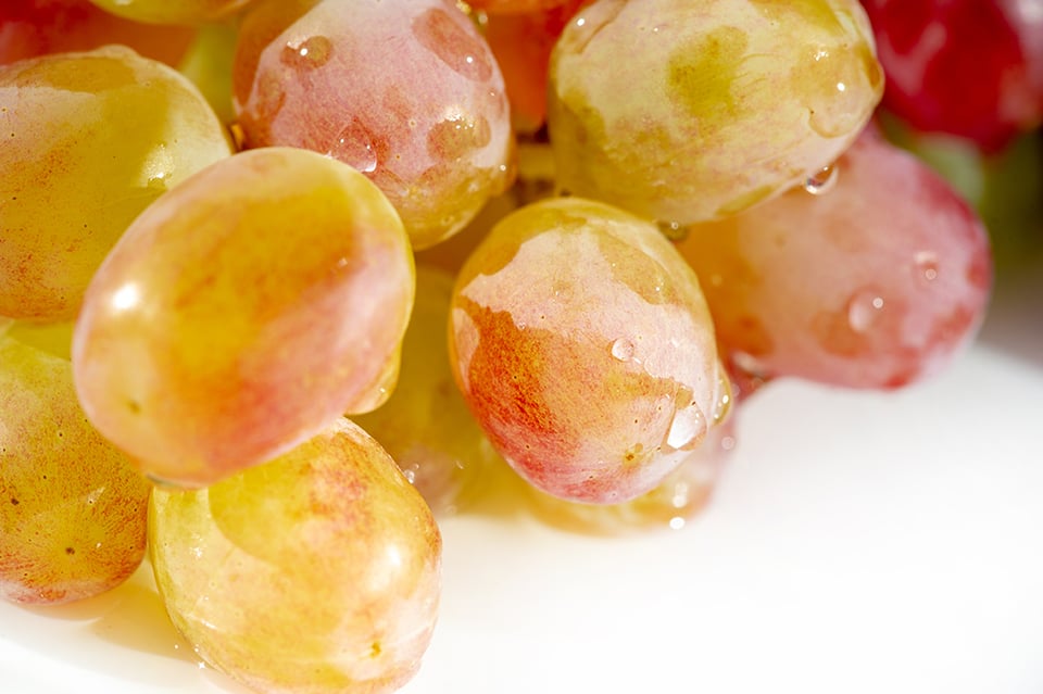 Polyphenols to Support the Gut-Brain Axis