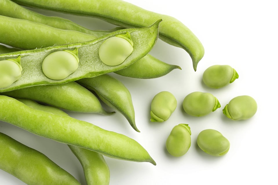 Genistein: A Botanical for Inflammatory Support and Bone Health
