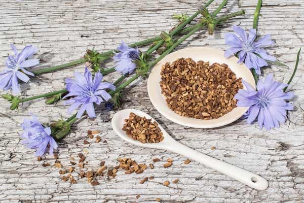 Understanding Inulin