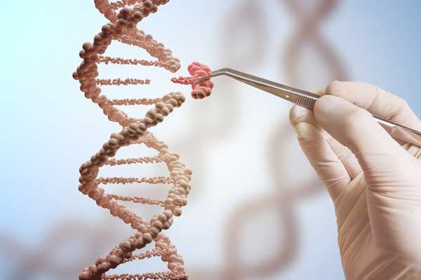 Utilization of Genetics