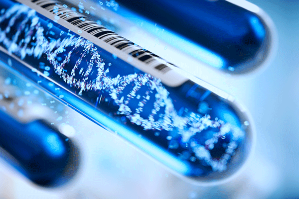Who Should Test for MTHFR gene?