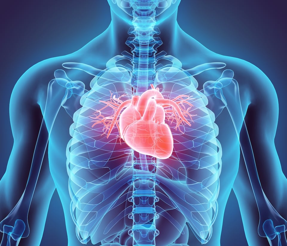 Heart Health: The Power of Balanced Electrolytes