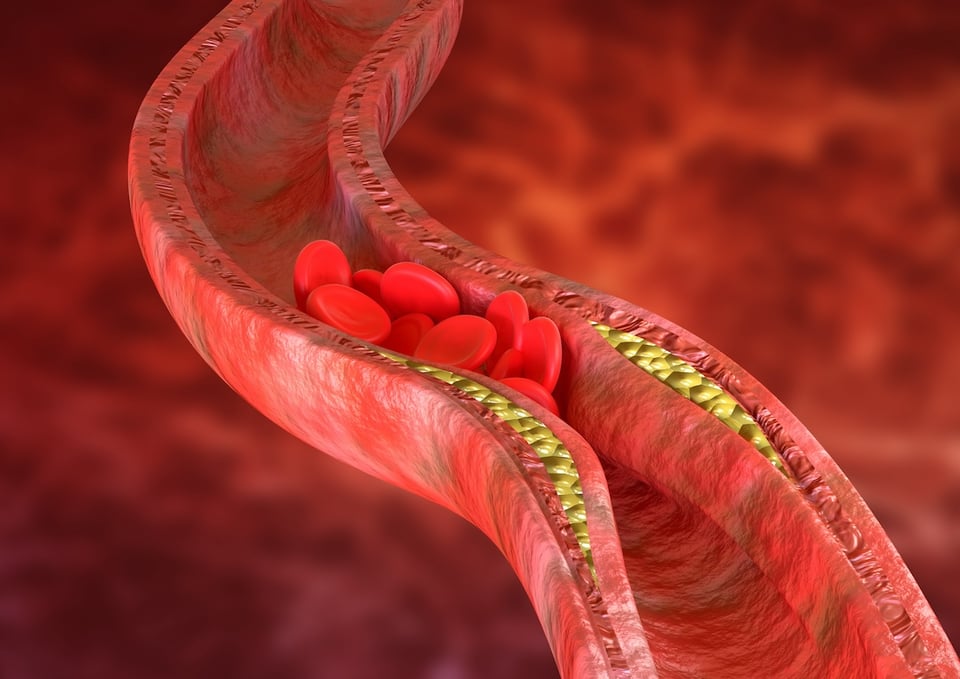The Intelligent Inner Lining of Blood Vessels: Nutrients that Support Vascular Health