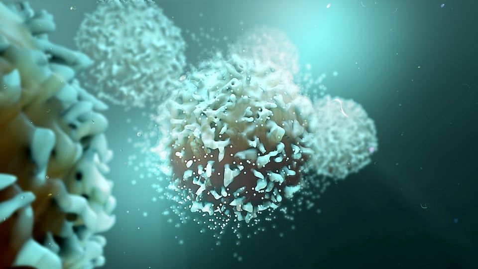 The Biochemistry of Zinc and the Immune Response