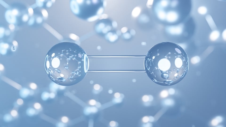 Exploring the Dual Pathways and Nutrients for Enhanced Nitric Oxide Production
