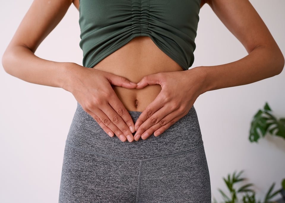 Gut Microbiome and Cardiovascular Health: What We Know About the Gut-Heart Axis