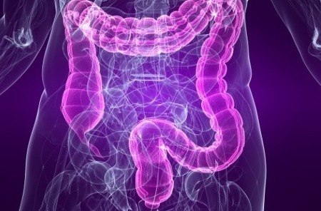 Researchers discover changes in intestinal barrier function in patients with multiple sclerosis