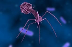A New Weapon Against Superbugs
