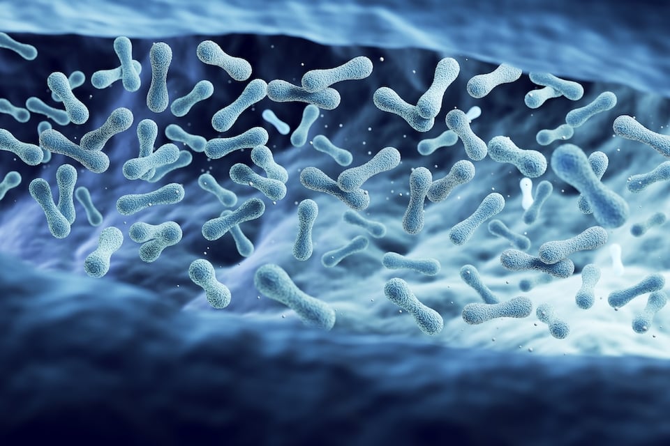 Four Unique Probiotic Strains That Help Promote a Healthy Vaginal Microbiome
