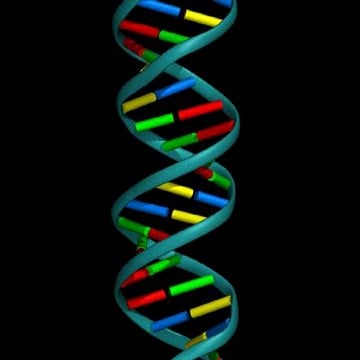 Glutamine A Tool for Tissue Health