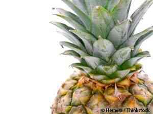 Breathe Easier with Bromelain