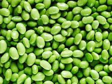 New Questions about Soy Safety