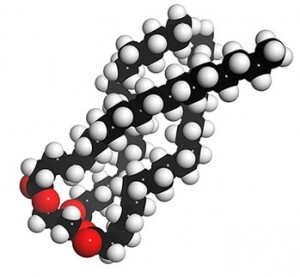Medium-Chain Triglycerides: Offering Up Brain-Boosting Ketones