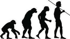 Examining Paleo and Beyond