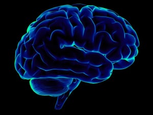 Inflammation Free Radicals and Neurodegenerative Disorders