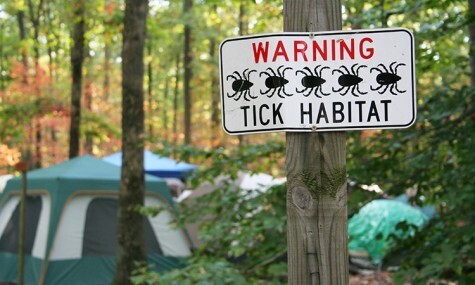 Why Lyme is the Mystery Disease?