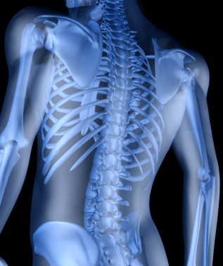 Vitamin K2: Scratching the Surface